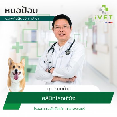 น.สพ.กิตติพงษ์  ทาจำปา ( หมอป้อม )